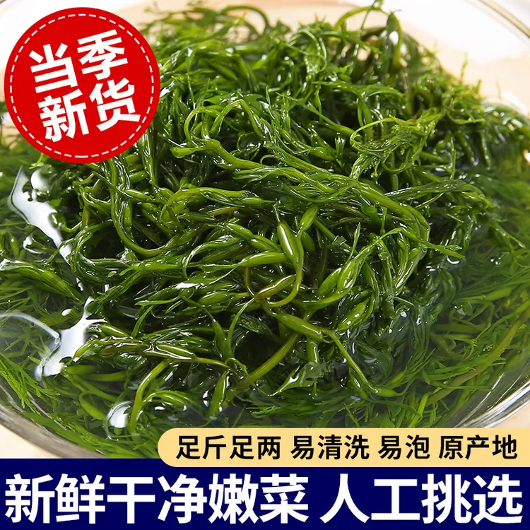 新鲜盐渍马尾藻羊栖菜海菜火锅食材炮仗笋大海鞭泡笋凉拌草海菜
