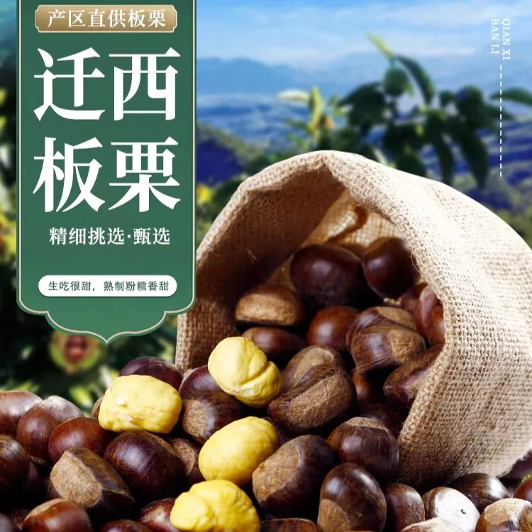 五斤迁西板栗大果香甜软糯弹射好剥皮高山老树板栗正宗新鲜生板栗