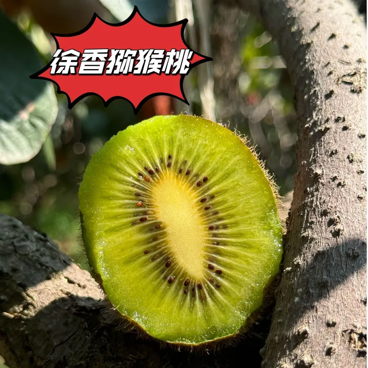 正宗陕西眉县徐香 猕猴桃新鲜采摘产地直发应季水果