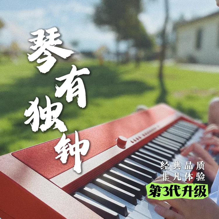 【琴有独钟】电子琴重低音DJ-2025年新款