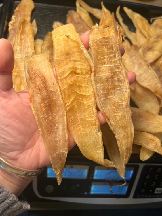 老金龙鱼胶干货花胶