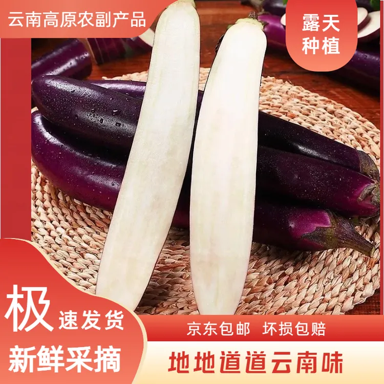 云南高原新鲜糯茄新鲜茄子农家露天自种现摘现发茄子京东包邮