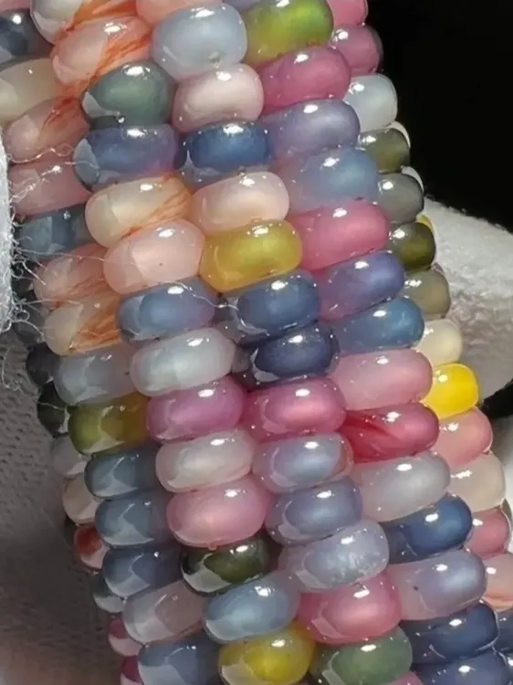 宝石宝血混装文玩玉米种子19.9元400粒