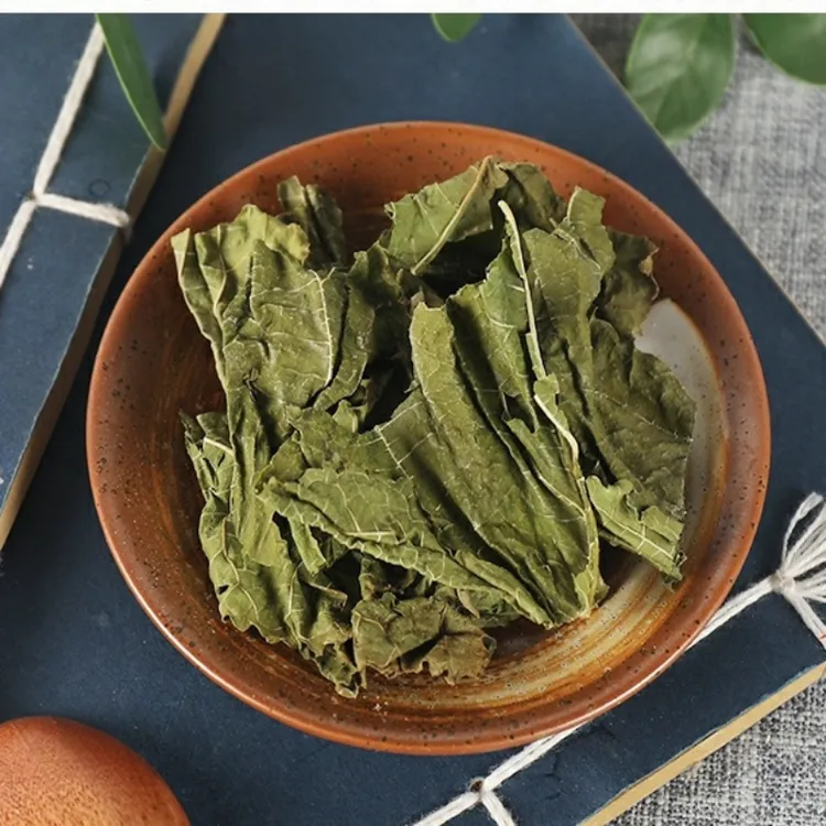 正宗桑叶农产品桑叶泡茶泡水喝霜桑树叶特产桑叶250克-500克包邮