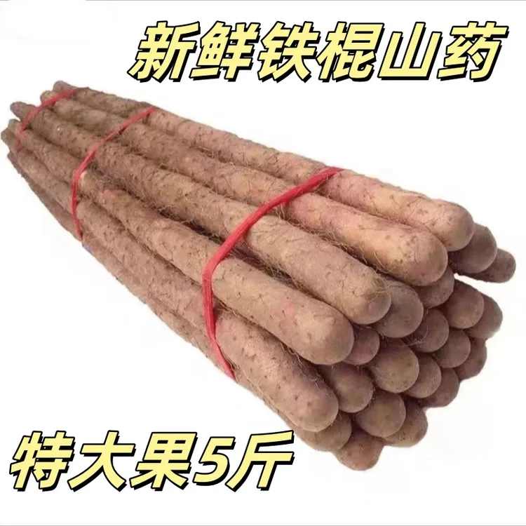 铁棍山药新鲜精品软糯香甜营养高5斤装原产地垆土山药60-70