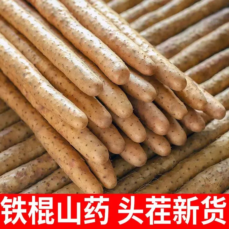 铁棍山药新鲜精品软糯香甜营养高产地直发5斤装垆土山药50-60