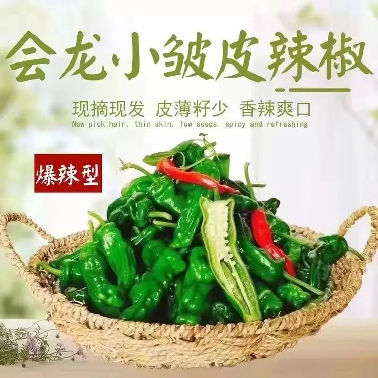 薄皮香辣辣椒蔬菜小螺丝辣椒土辣椒大小混合1斤3斤5斤