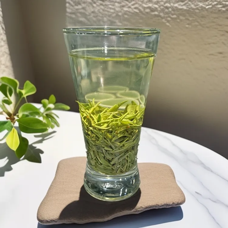 单双信阳毛尖2024新茶高山小芽清香栗香好喝耐泡信阳产地发货