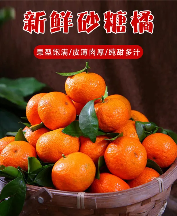 广西砂糖桔皮薄多汁正宗广西砂糖橘果园现摘5斤精选当场采摘现摘