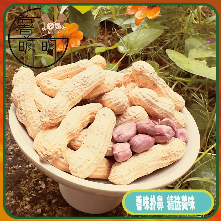 【2025新花生】龙岩湿烤五香水煮原味晒干紫衣花生红衣湖峰小种脆