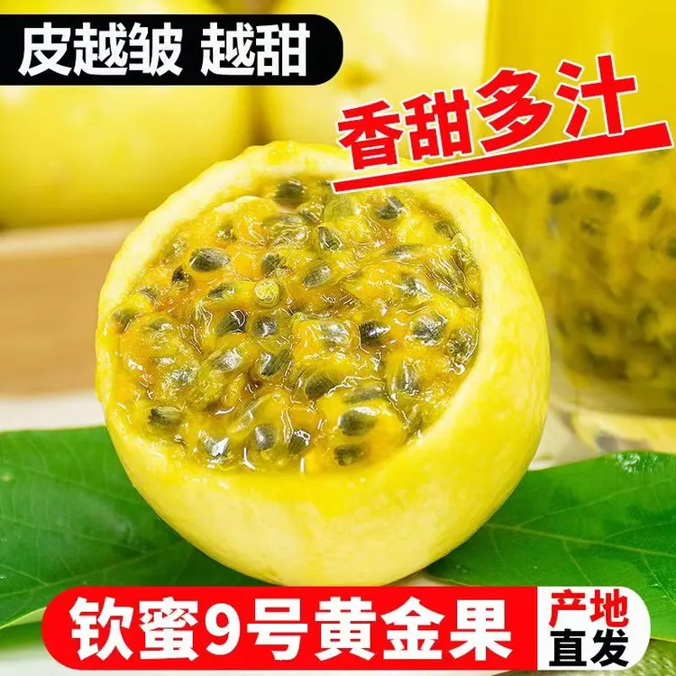 钦蜜9号黄金百香果现摘应季新鲜水果种植采摘多汁香甜