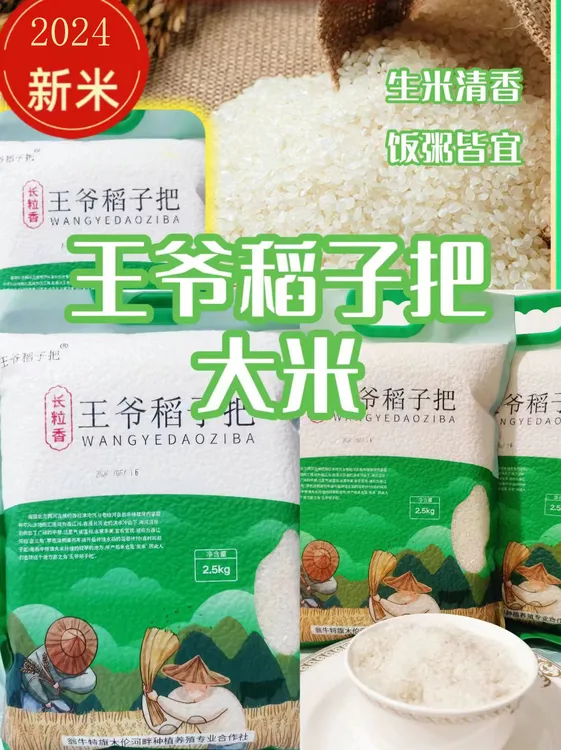 内蒙新鲜营养醇香王爷稻子把木伦河畔产品平原长粒香大米