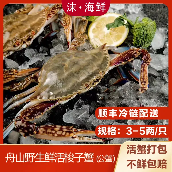 沫海鲜舟山野生梭子蟹3-7两/只大公蟹鲜活打氧发货包鲜包肥不包活