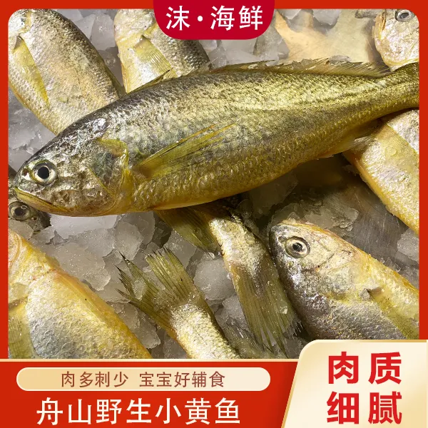 沫海鲜舟山野生小黄鱼冷冻小黄鱼超低温冷冻顺丰全国包邮