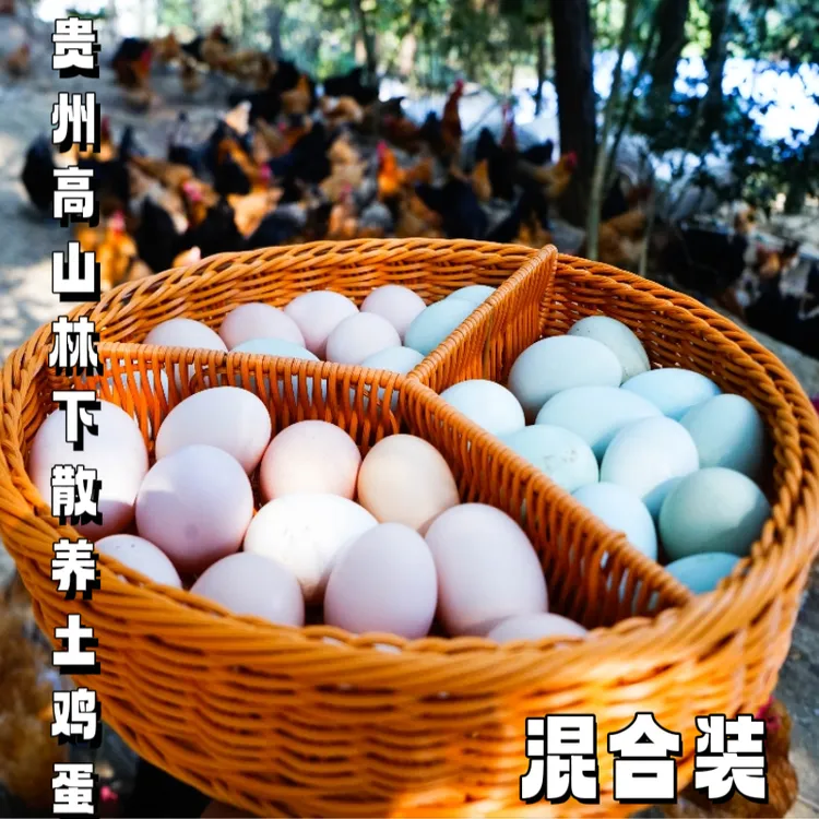 贵州农家散养土鸡蛋新鲜营养美味（粉+绿）30枚-100枚