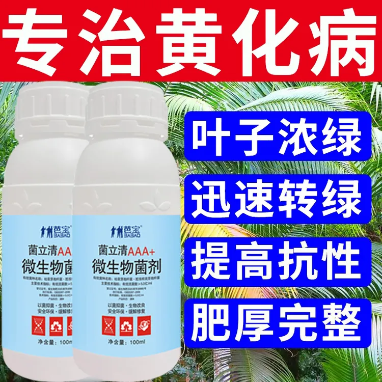 菌立清槟榔专用药烂心病杀菌剂防槟榔黄化病根腐病芽腐病脱落下垂