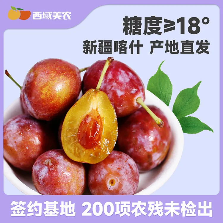 西域美农新疆法兰西西梅3斤 新疆特产清甜西梅新鲜水果甜蜜多汁