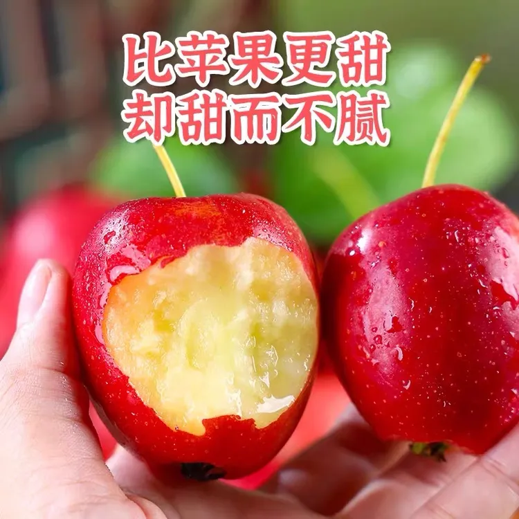 ［新疆直发］新疆鸡心果香妃海棠脆甜多汁新鲜现摘先发新鲜直发