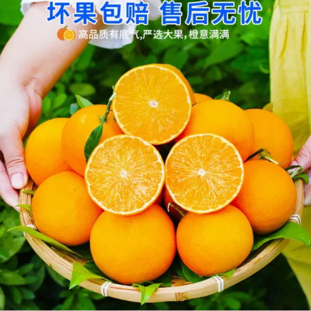 正宗广西沙糖橘新鲜多汁有机水果成份皮薄肉嫩多汁化渣好现摘现发