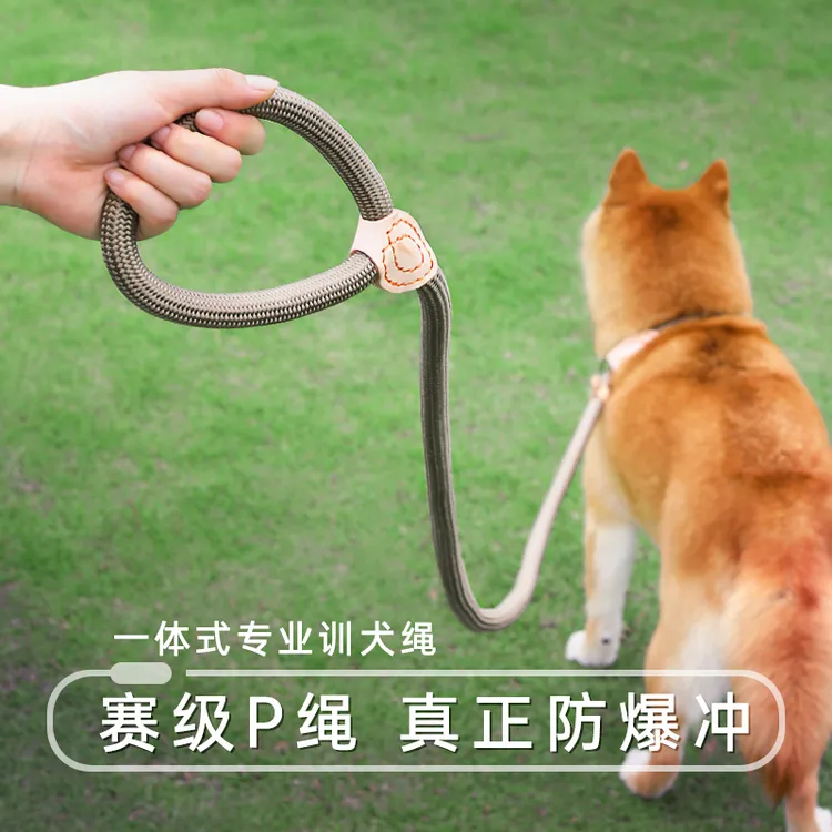 kimpets狗狗绳子防爆冲P链遛狗牵引绳通用防挣脱狗链子大中小型犬