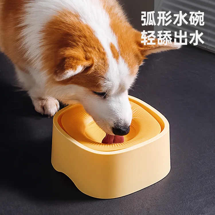 kimpets狗狗喂水器狗碗不湿嘴防溢水饮水器宠物防溅不湿胡子浮水