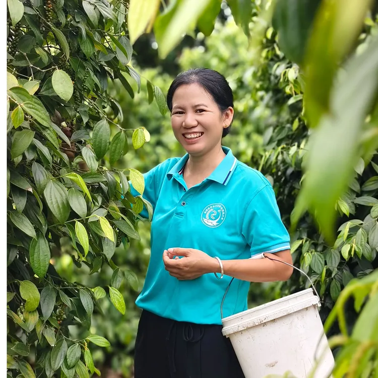 海南特产 海南白胡椒 黑胡椒 香辣 100g-400g