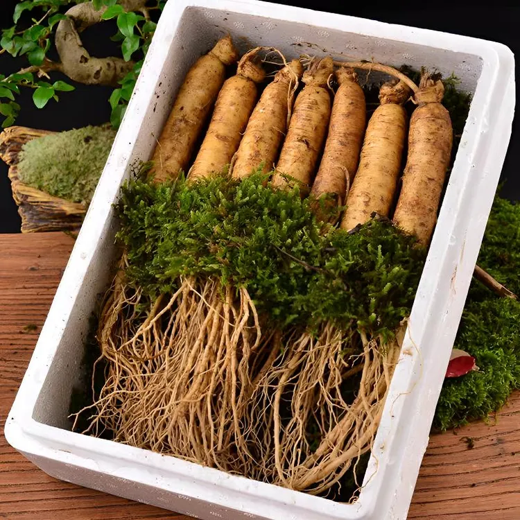 人参鲜货【精心挑选论斤更实惠】足龄正宗长白山产地直销直发包邮