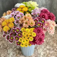 【源头优选】小菊-任意2单鲜花包邮 发货后不支持退款