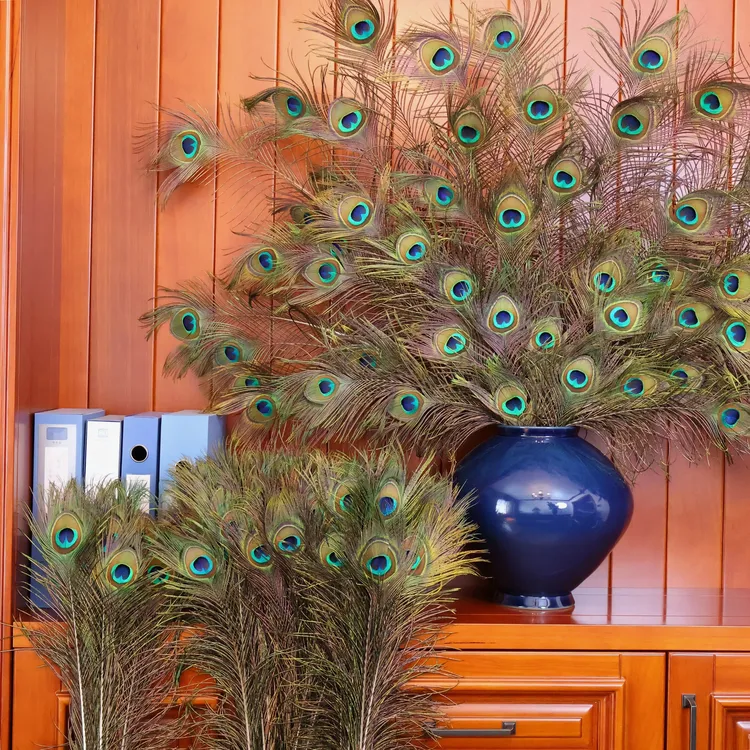 新年装饰摆件天然大眼孔雀羽毛春节场景布置过年好礼家居摆设装饰
