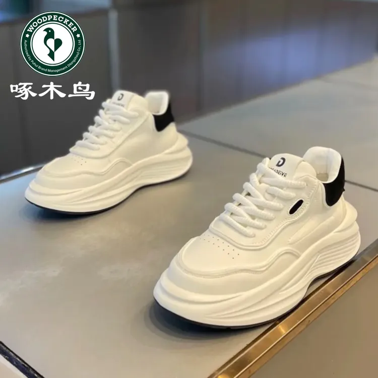 啄木鸟男鞋潮流休闲男士小白鞋子秋季潮鞋新款板鞋厚底增高老爹鞋