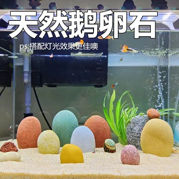天然彩石长江鹅卵石精品鱼缸石造景装饰大石头装饰空气缸彩石摆件