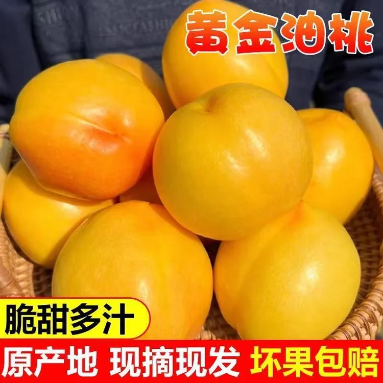 【现摘】纯甜黄油桃爆汁脆桃新鲜水果水果无毛黄皮纯甜应季脆多汁