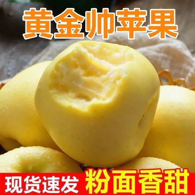 香甜孩子新鲜水果黄粉面帅黄金鲜黄香蕉元帅新刮辅食苹果泥老脆甜