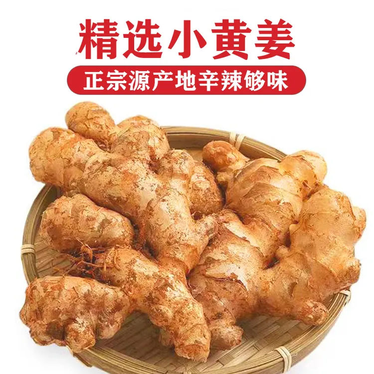 【老姜】云南小黄姜生姜山地姜高原姜新鲜现挖1斤3斤5斤9斤可选