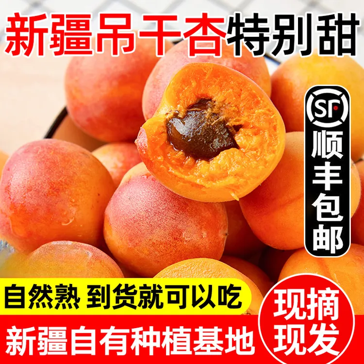 【纯甜】正宗新疆小红杏新鲜水果吊干杏新疆阿克苏吊杆杏子胜小白杏