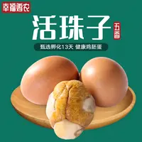 幸福鸡农活珠子五香味香辣味真空熟制钢化蛋即食喜蛋毛蛋新鲜正宗