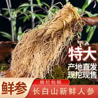 长白山现挖新鲜大人参【高年头老参王】单只150克送礼泡酒滋补