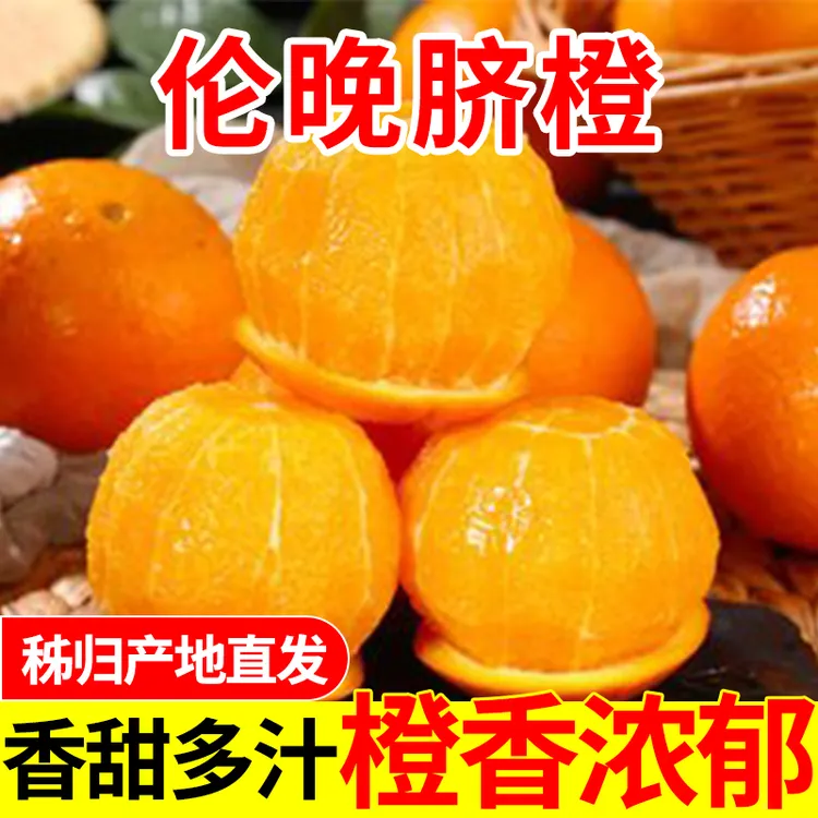 湖北宜昌秭归伦晚脐橙当季新鲜橙子3斤小果50-60mm高性价比试吃装
