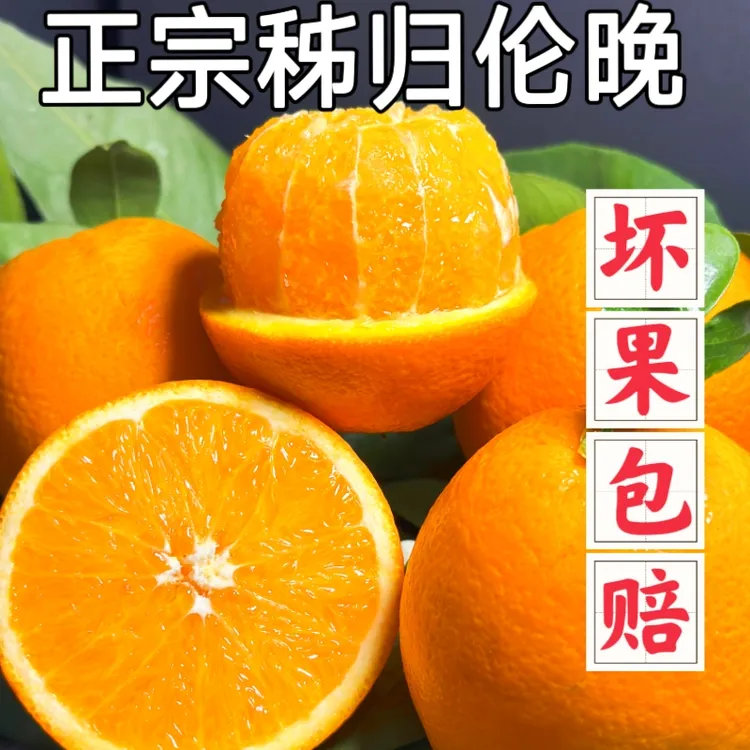 湖北宜昌秭归伦晚脐橙当季新鲜橙子水果香甜橙春橙爆汁5斤
