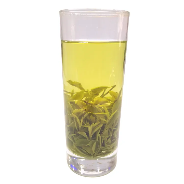 2025孝感孝昌绿茶秋茶16号孟宗大观山茶叶袋装250g清香味浓耐泡