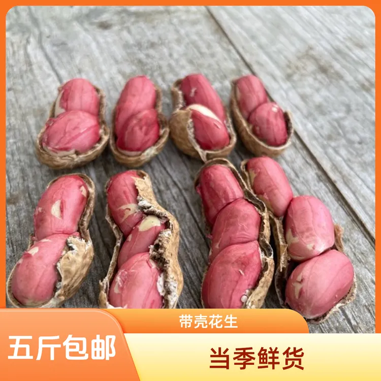 （水果花生）2025水果甜花生新鲜现挖带壳可水煮生吃现摘带壳鲜花生