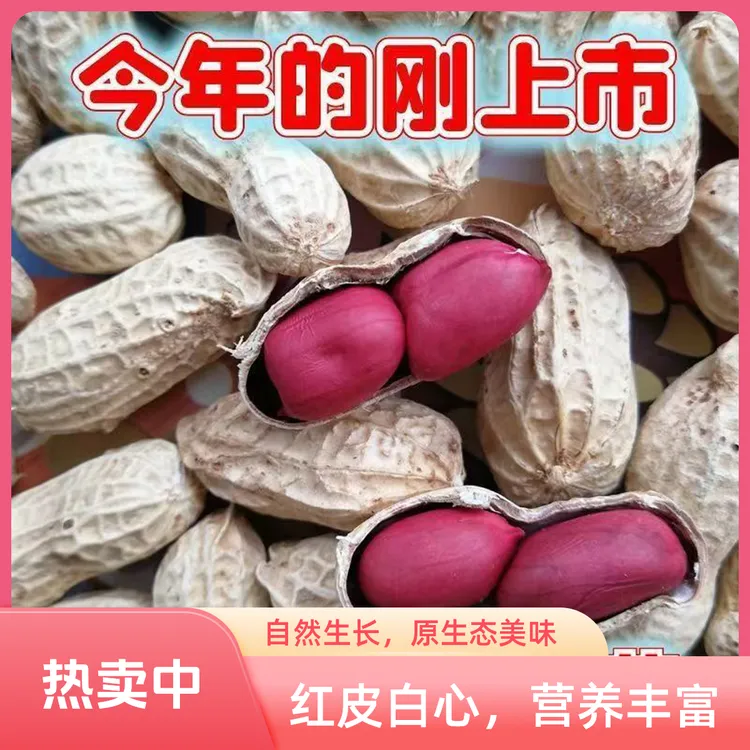 【两粒红】农家新鲜带壳种子红衣花生特产两粒红晒干带壳种子红衣