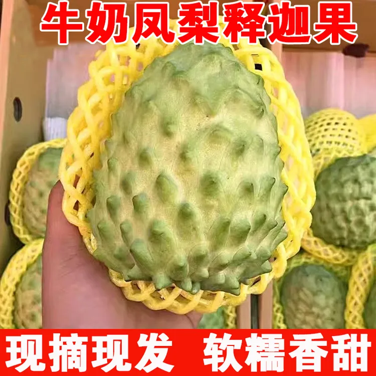 现摘凤梨牛奶释迦果新鲜当季热带整箱5斤水果大果佛头潘荔枝纯甜