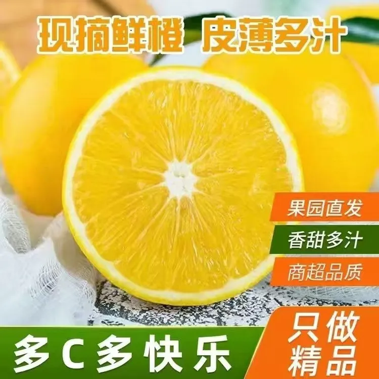云南哀牢山冰糖橙新鲜香甜多汁当季水果
