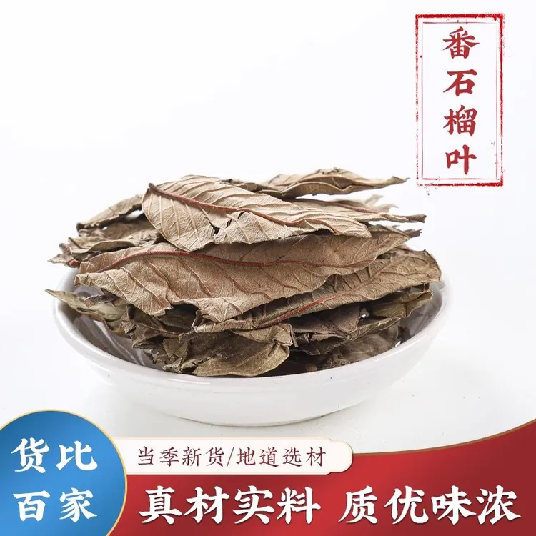 番石榴叶茶正品新鲜干货芭乐叶高山番桃叶子潘石榴叶泡水喝