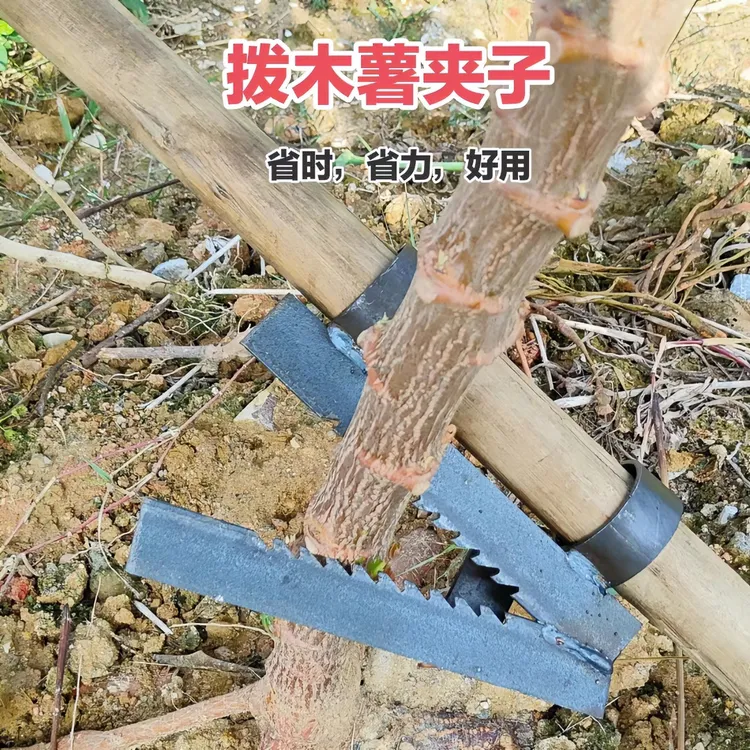 拨木薯夹子省力快速高效拨木薯神器拨烟杆辣椒杆棉花杆专用农用具