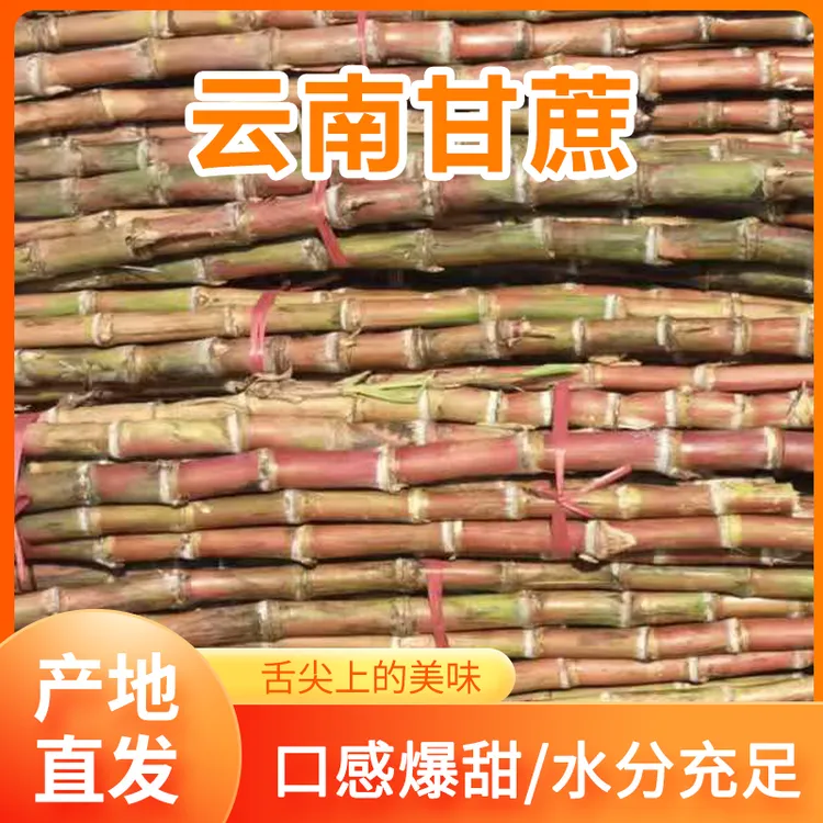 新鲜红皮甘蔗甘甜多汁 清脆爽口现砍现发自家种植5斤9斤装
