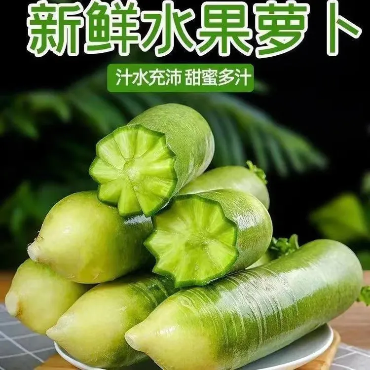 山东潍坊水果萝卜新鲜现拔生吃脆甜多汁农家自种经济实惠产地直发