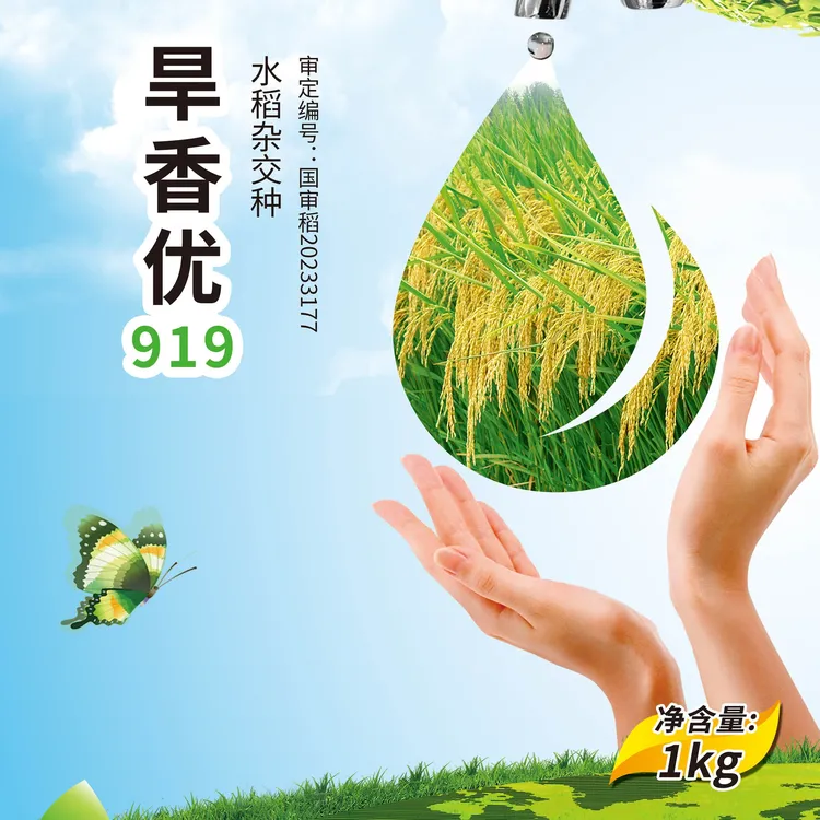 节水抗旱稻旱香优919杂交水稻种子优质水稻 国审区域湖北河南安徽