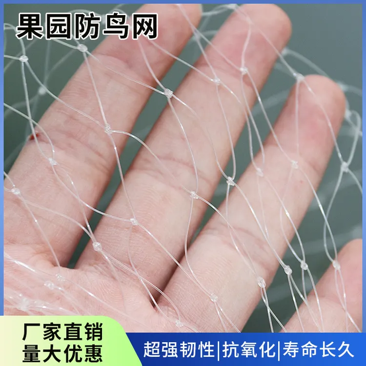 防鸟用网果树樱桃葡萄大棚果园农用防鸟网鱼塘养殖天网尼龙防老化